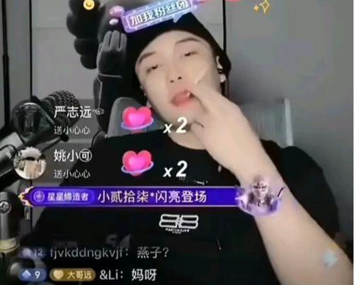 网红黑料视频,视频背后的真相与反思